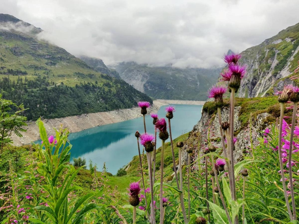 Z - Next Door To Therme Vals
